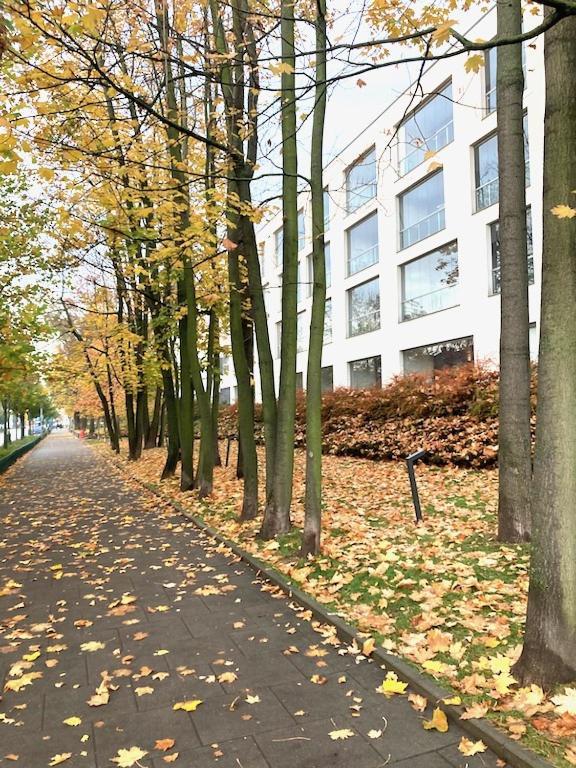Apartment Novum Rakowicka Street Kraków Zewnętrze zdjęcie